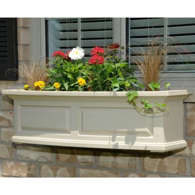 Window Boxes